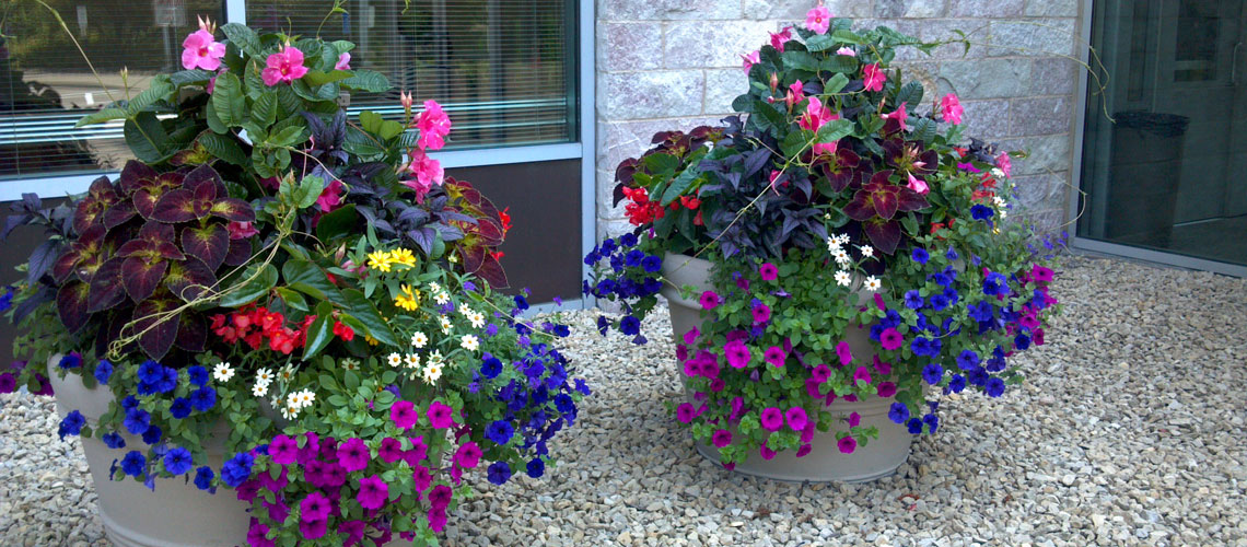 Planters and Container Maintenance Design and Installation