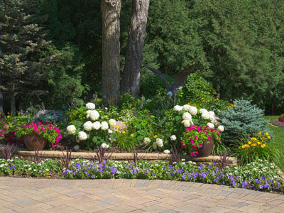 Complete Garden Design & Installation